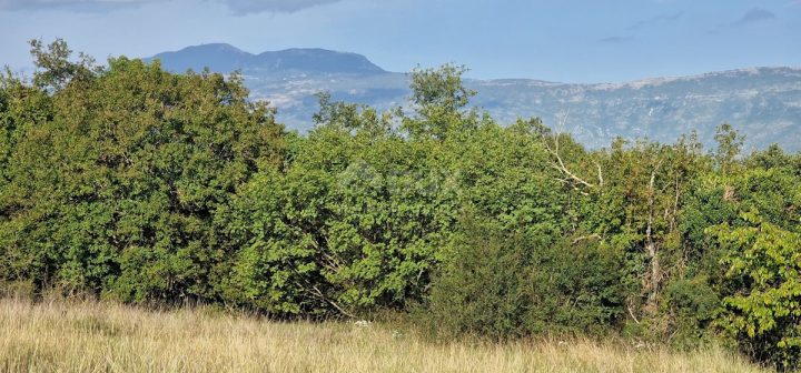 Parcela Naprodaj - Istarska Pićan - foto 5/22