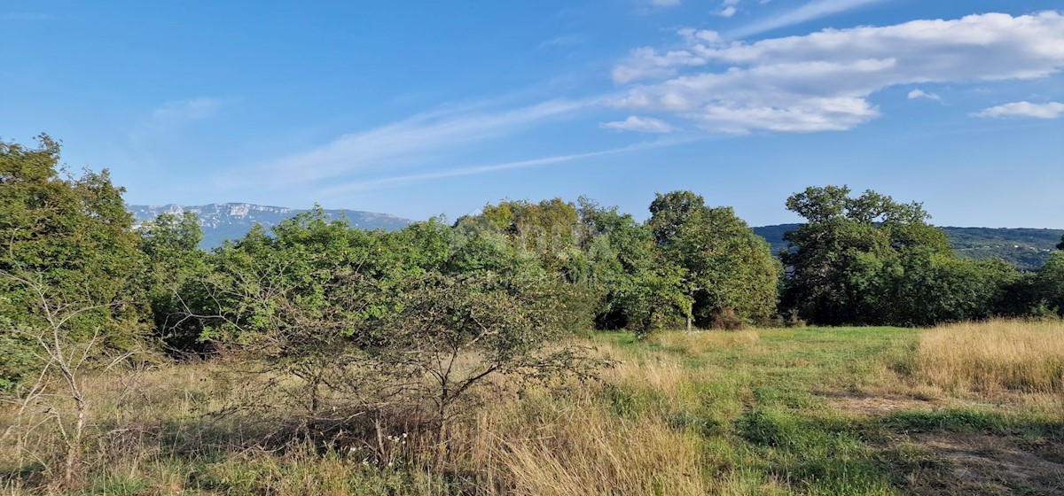 Grundstück Zu verkaufen - ISTARSKA PIĆAN