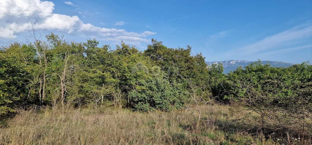 Parcela Naprodaj - ISTARSKA Pićan