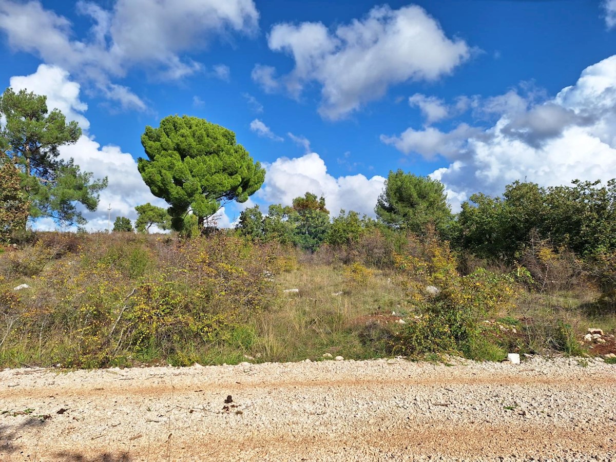 Parcela Naprodaj - ISTARSKA Sveti Lovreč