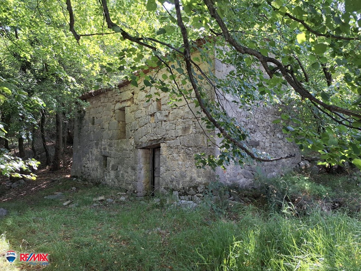 Haus Zu verkaufen - ISTARSKA LUPOGLAV