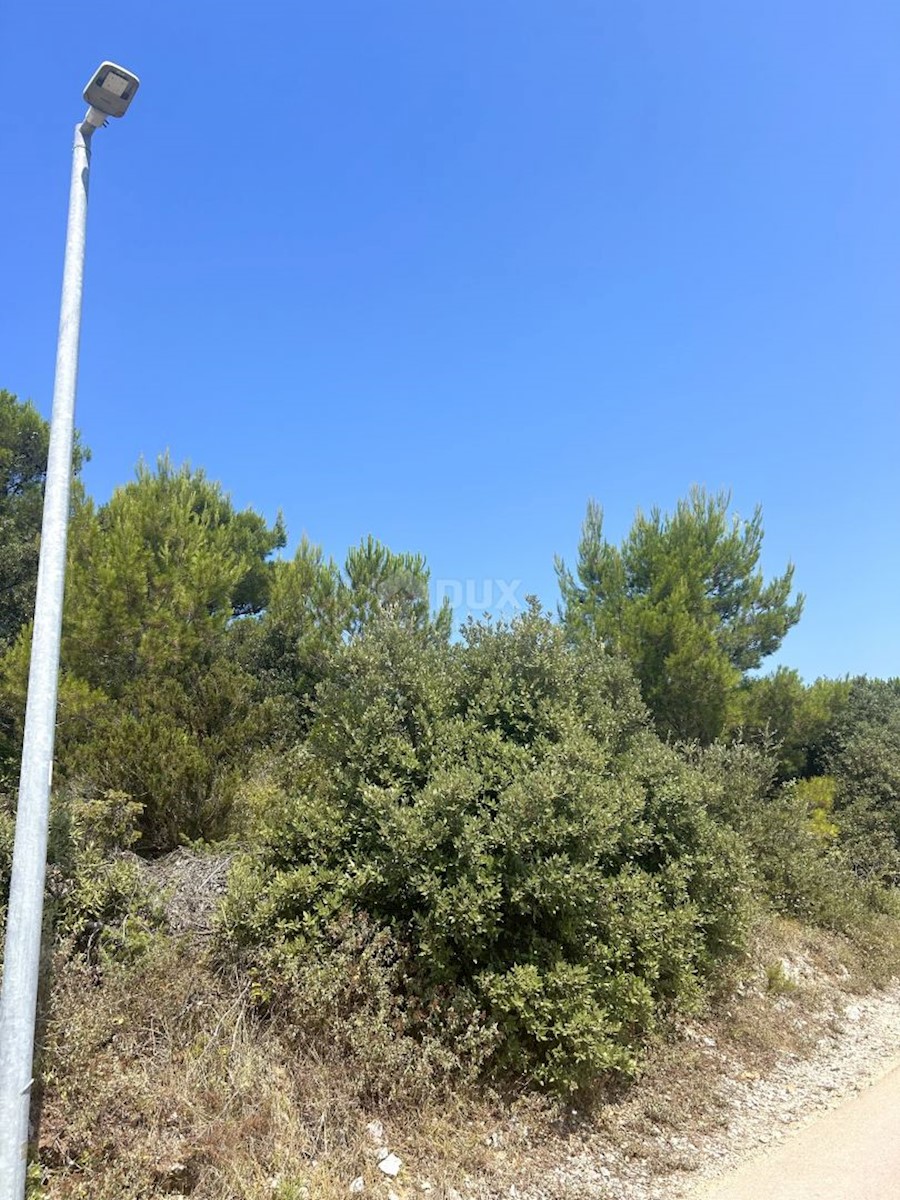 Land For sale - ZADARSKA NIN