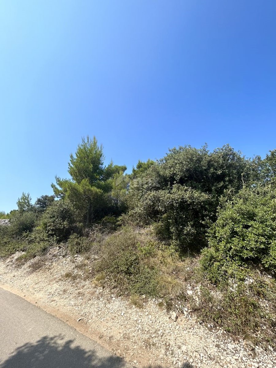 Land For sale - ZADARSKA NIN