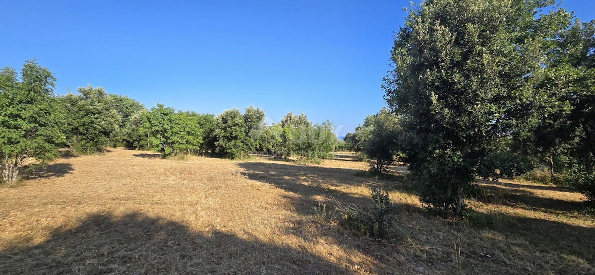 Terreno In vendita - ISTARSKA MARČANA