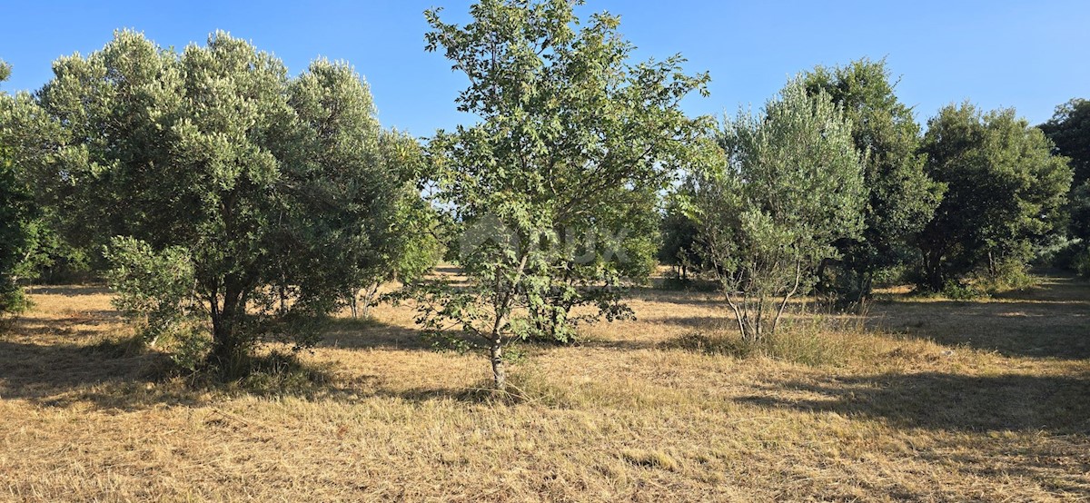 Terreno In vendita - ISTARSKA MARČANA