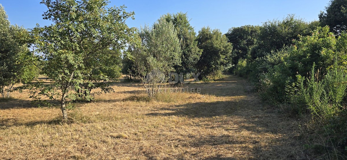 Terreno In vendita - ISTARSKA MARČANA