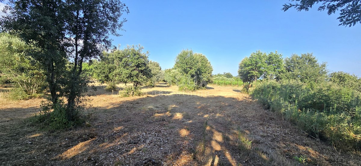 Terreno In vendita - ISTARSKA MARČANA