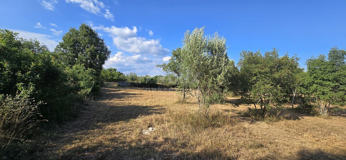 Terreno In vendita - ISTARSKA MARČANA