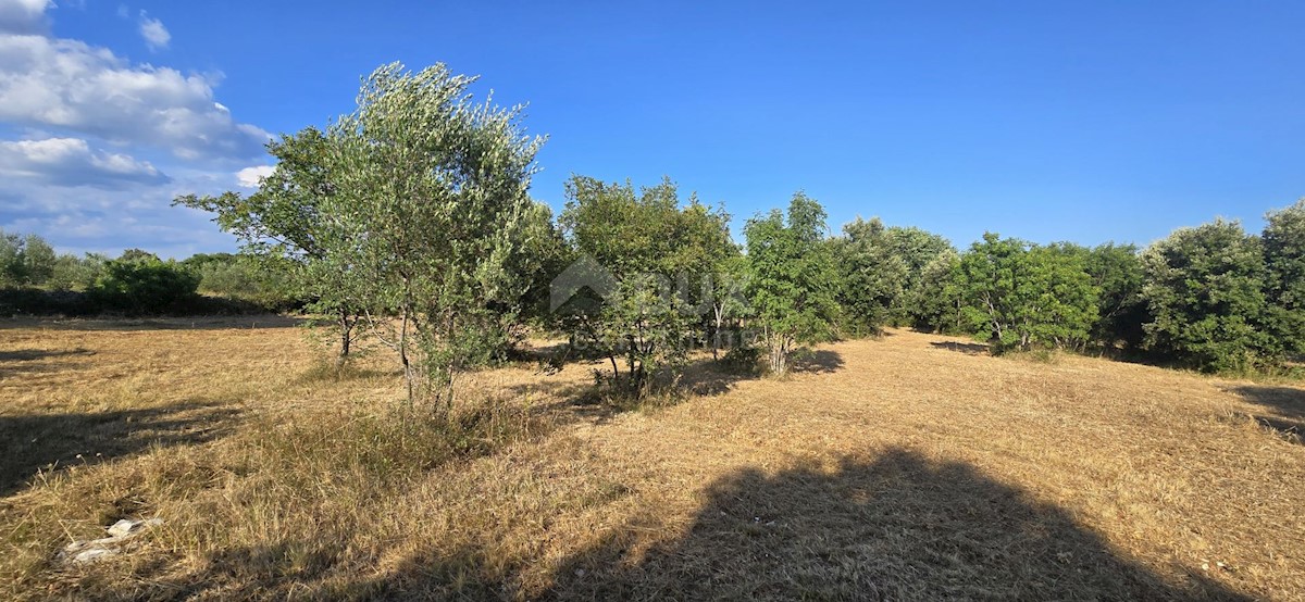 Terreno In vendita - ISTARSKA MARČANA