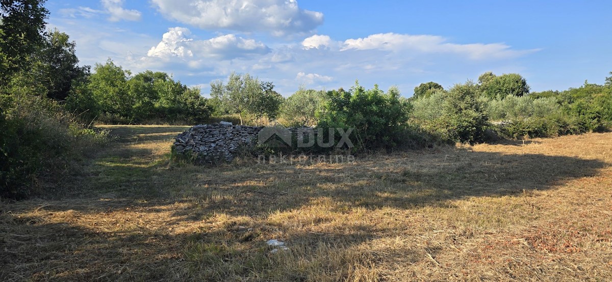 Terreno In vendita - ISTARSKA MARČANA