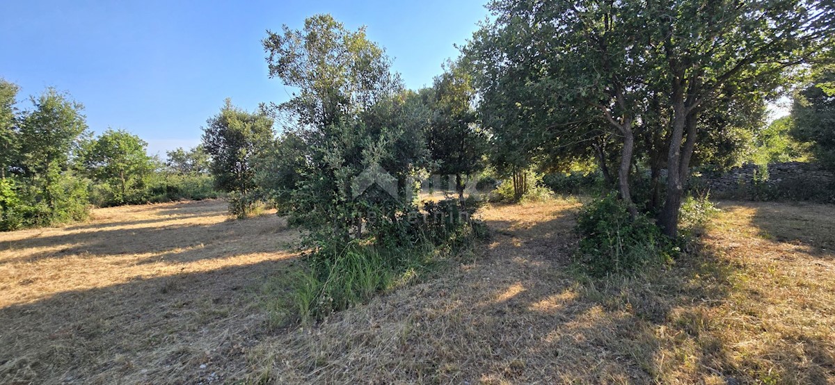 Terreno In vendita - ISTARSKA MARČANA