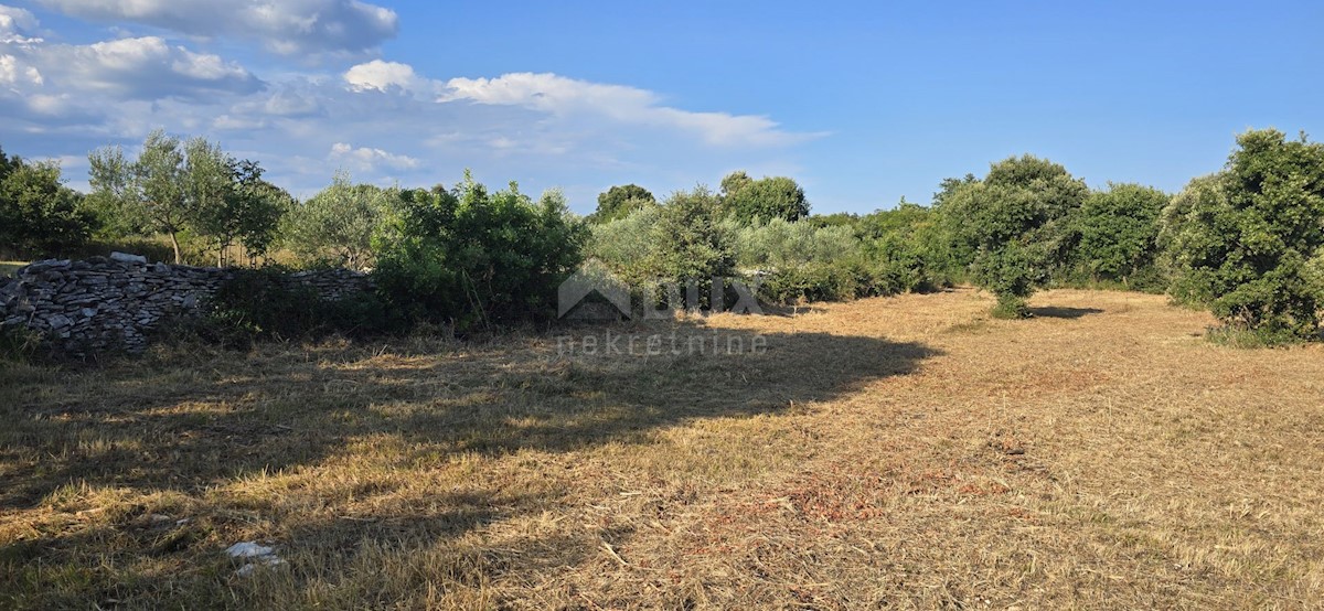 Terreno In vendita - ISTARSKA MARČANA