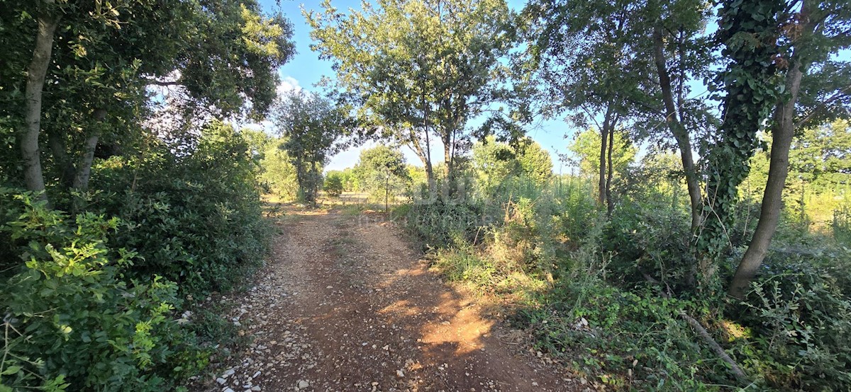 Terreno In vendita - ISTARSKA MARČANA