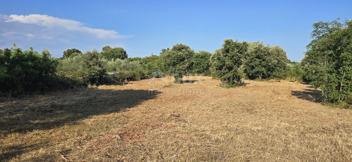 Terreno In vendita - ISTARSKA MARČANA