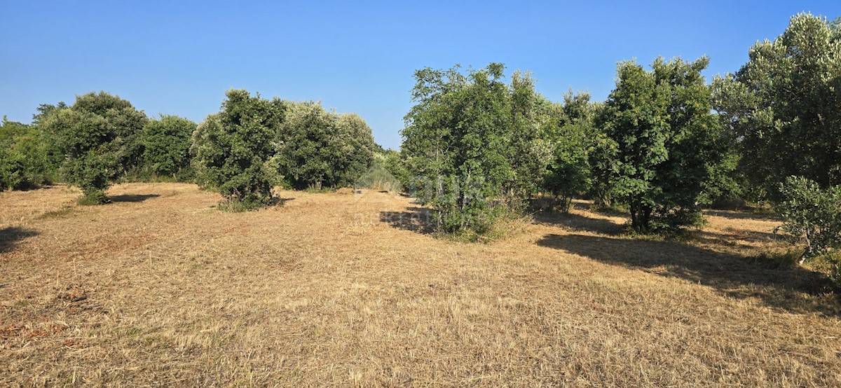 Terreno In vendita - ISTARSKA MARČANA