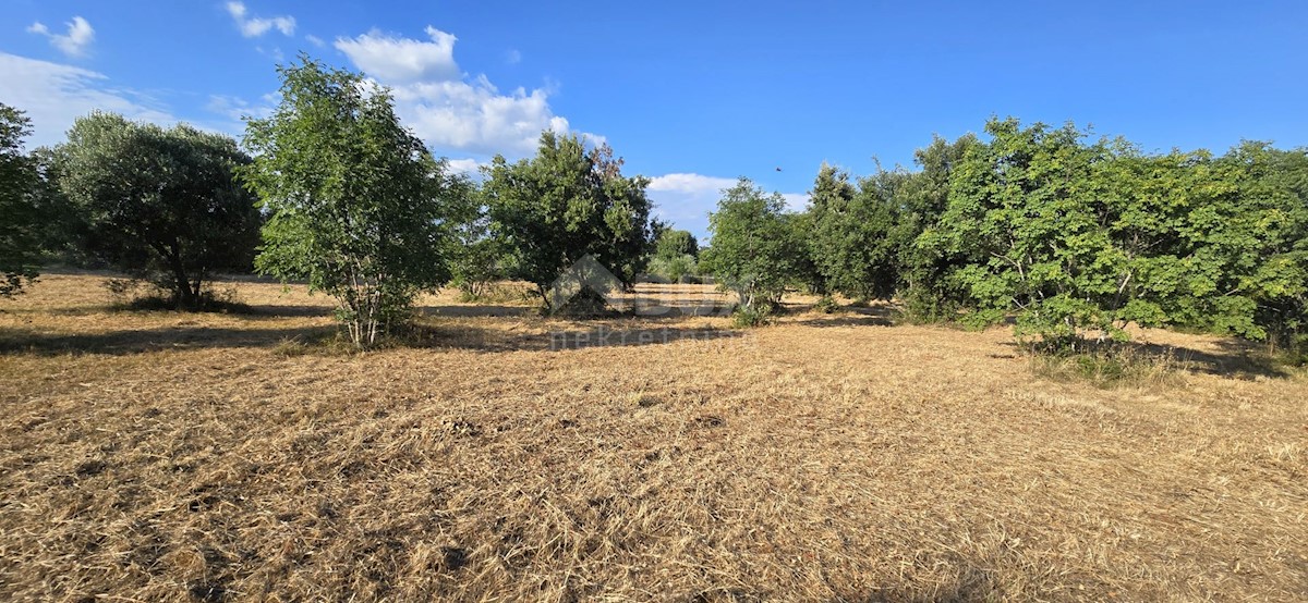 Terreno In vendita - ISTARSKA MARČANA