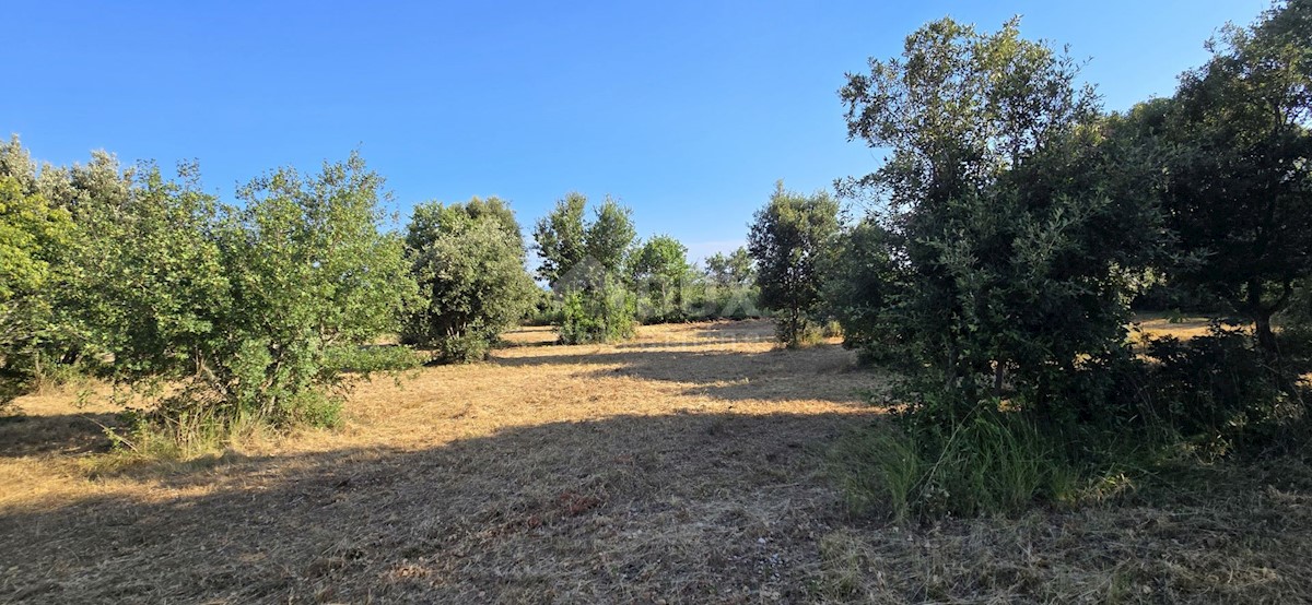 Terreno In vendita - ISTARSKA MARČANA