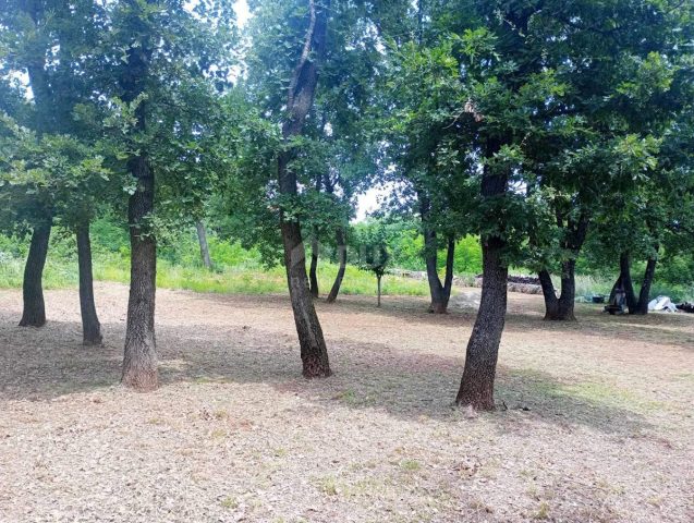 Terreno in vendita 5078 m² – Divšići