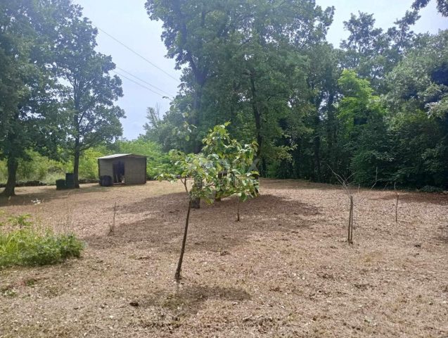 Grundstück Zu verkaufen - Istarska Marčana - foto 4/24