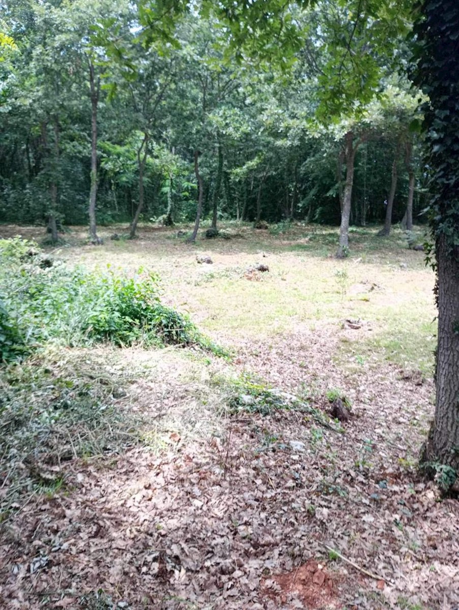 Zemljište Na prodaju - ISTARSKA MARČANA