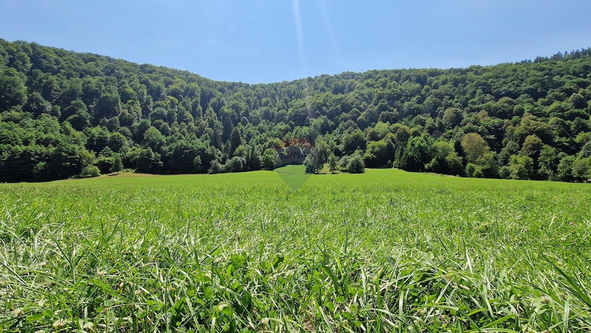 Kuća Na prodaju - PRIMORSKO-GORANSKA Vrbovsko