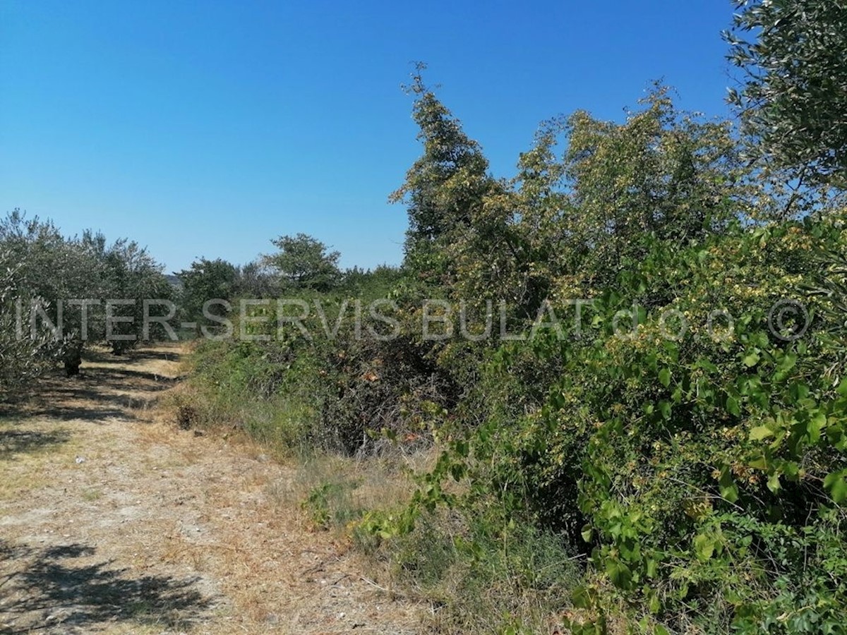 Land For sale - ŠIBENSKO-KNINSKA ŠIBENIK