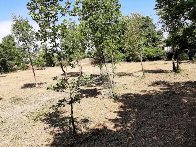 Land for sale 1829 m² – Štokovci