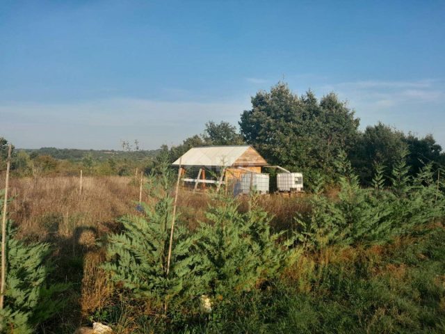 Terrain à vendre 2158 m² – Svetvinčenat