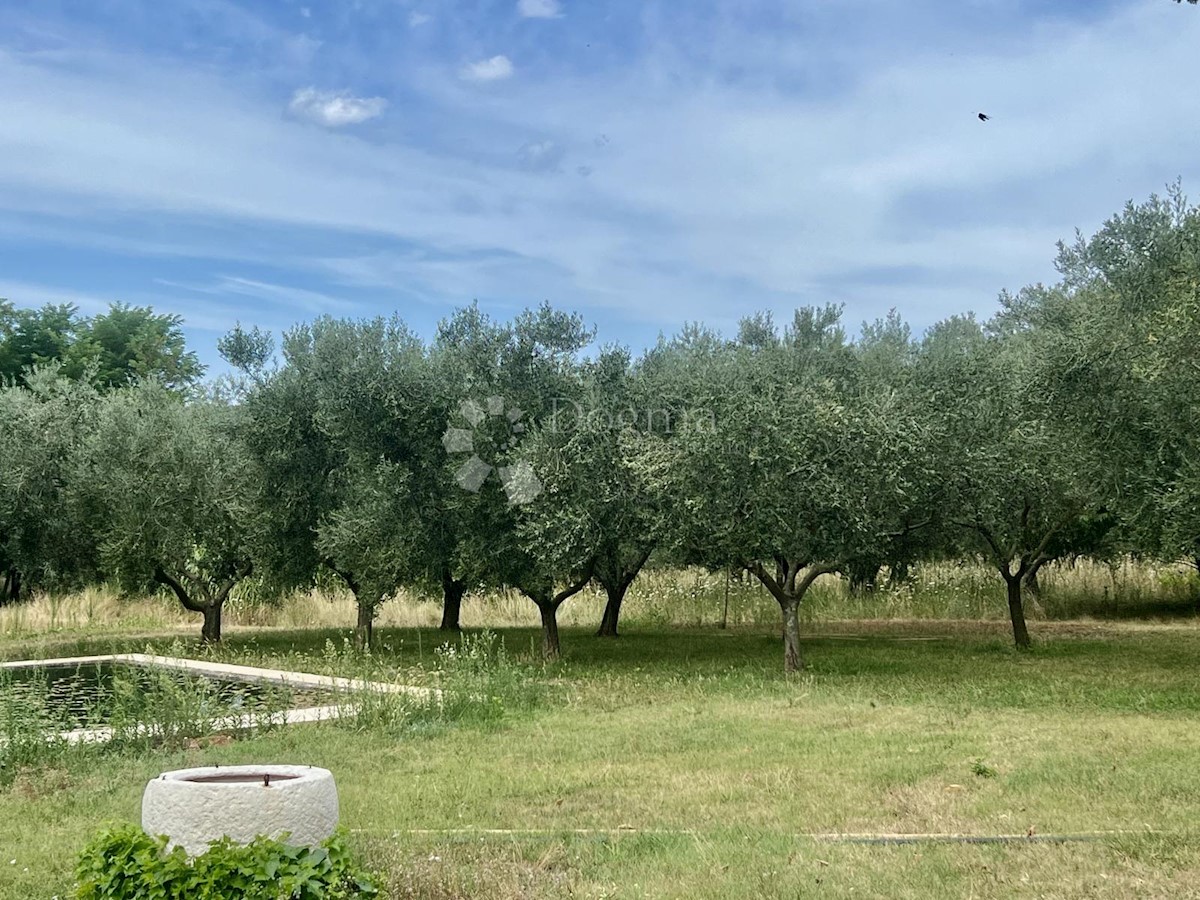 Hiša Na predaj - ISTARSKA UMAG