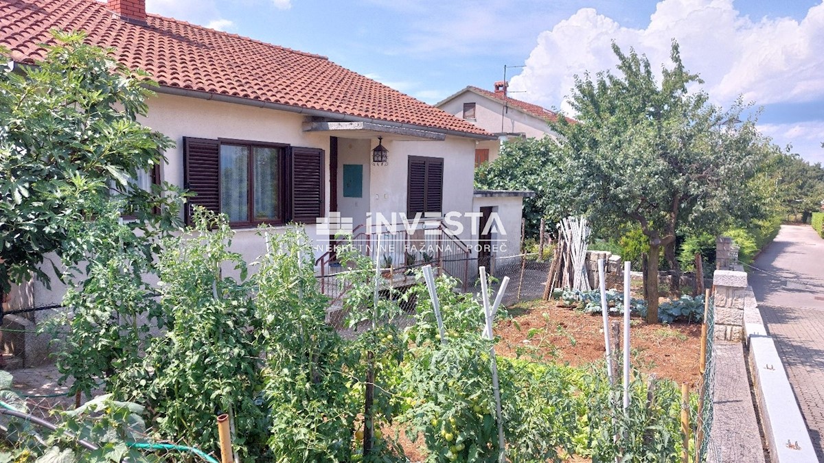 House For sale - ISTARSKA PAZIN