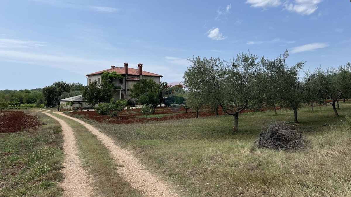 Hiša Na predaj - Istarska Umag - foto 2/21