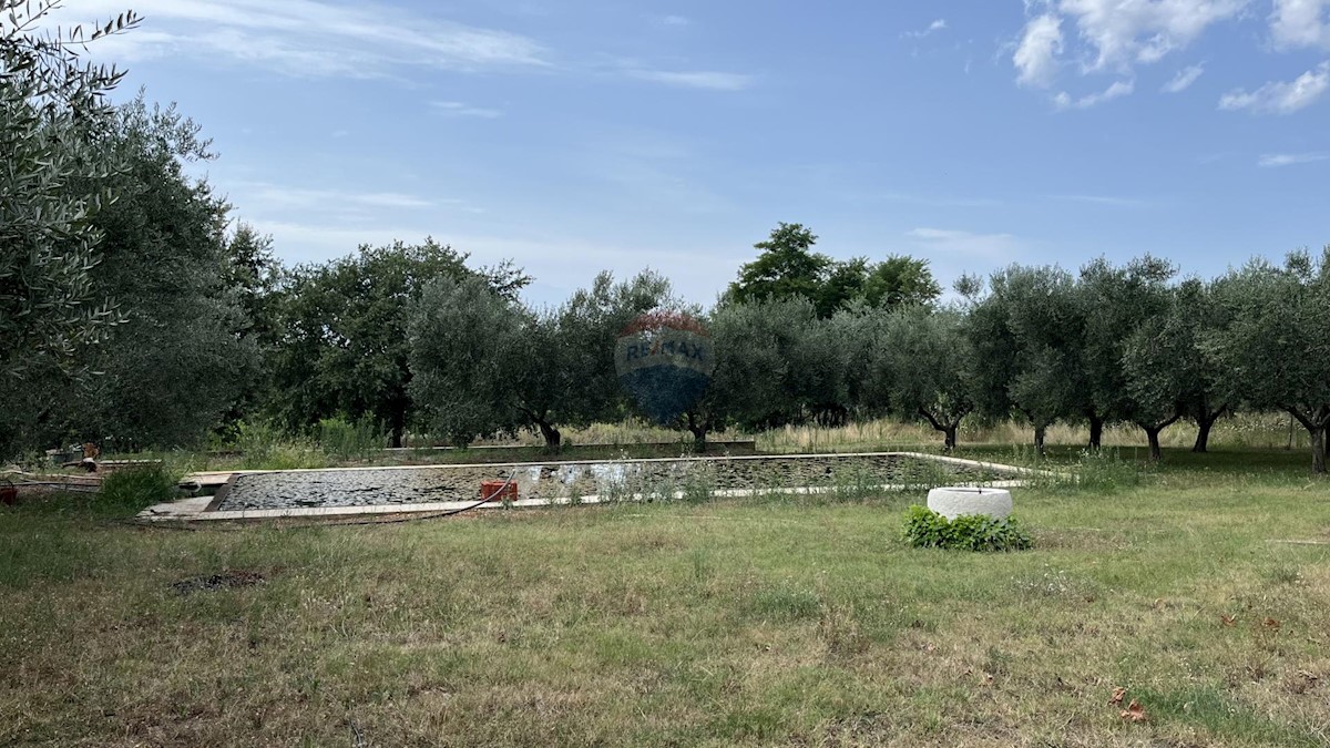 Hiša Na predaj - Istarska Umag - foto 3/21