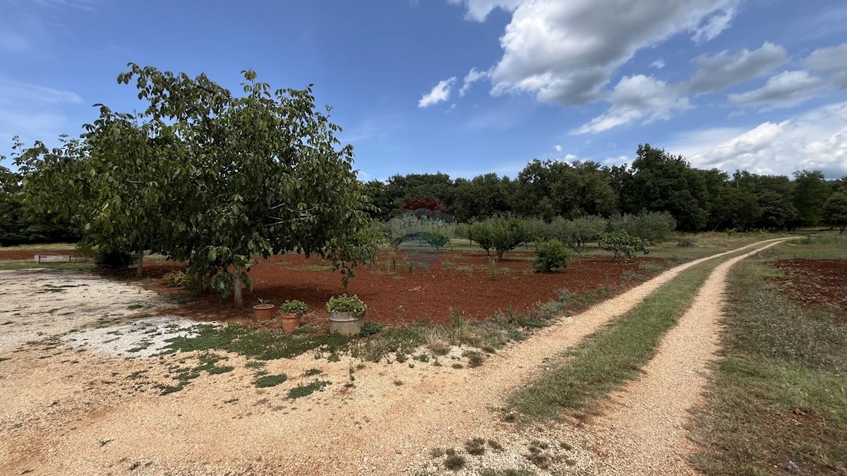 Hiša Na predaj - ISTARSKA UMAG