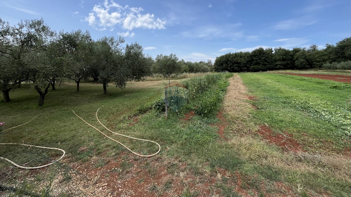 Hiša Na predaj - ISTARSKA UMAG