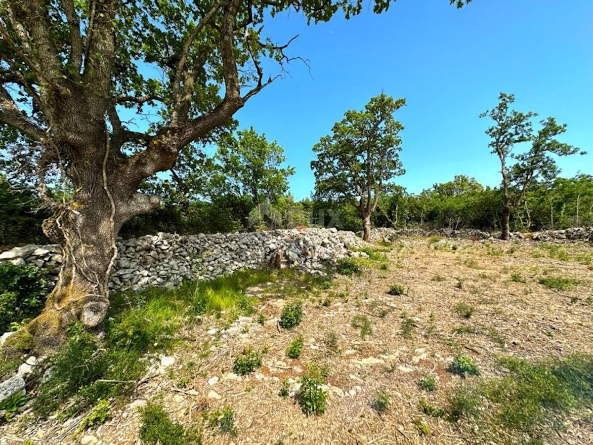 Land For sale - ISTARSKA RAŠA