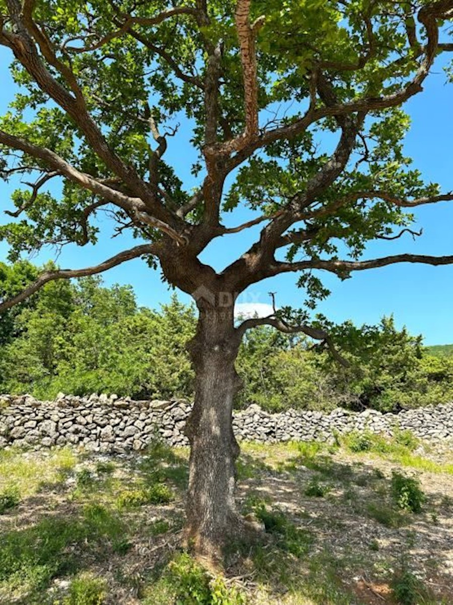 Pozemok Na predaj - ISTARSKA RAŠA