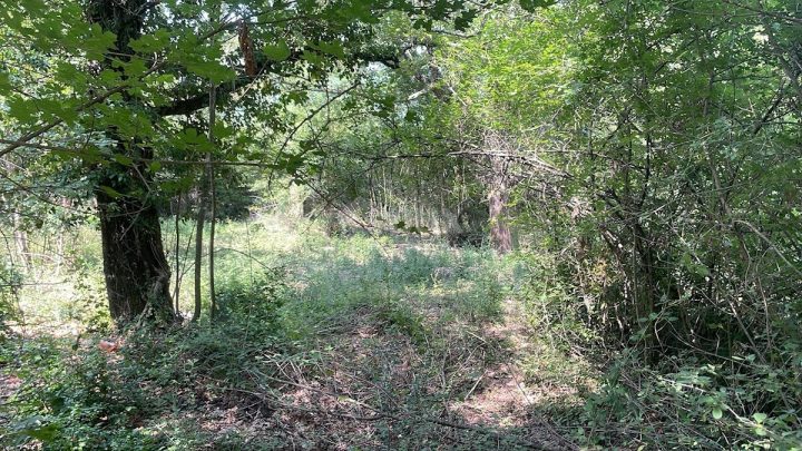 Terrain à vendre 3380 m² – Jakomići