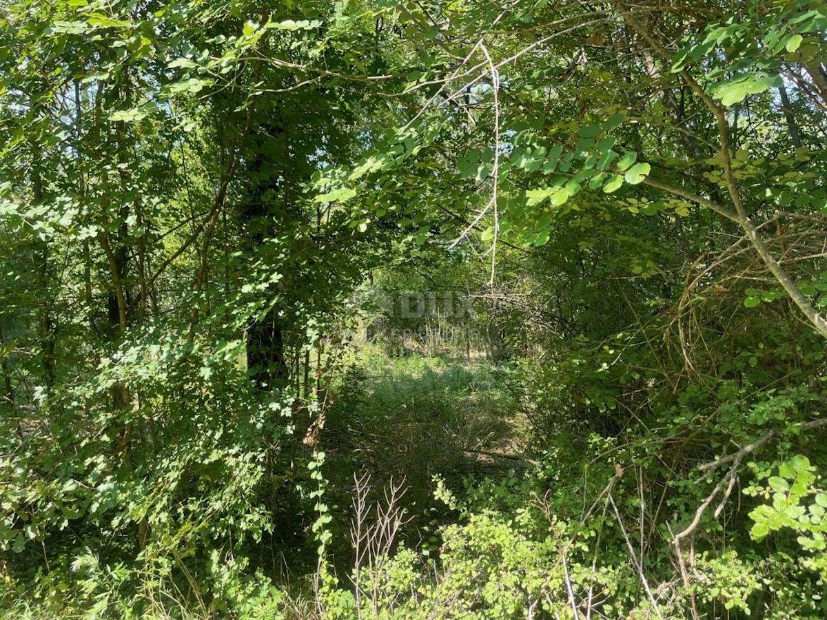 Land For sale - ISTARSKA PIĆAN