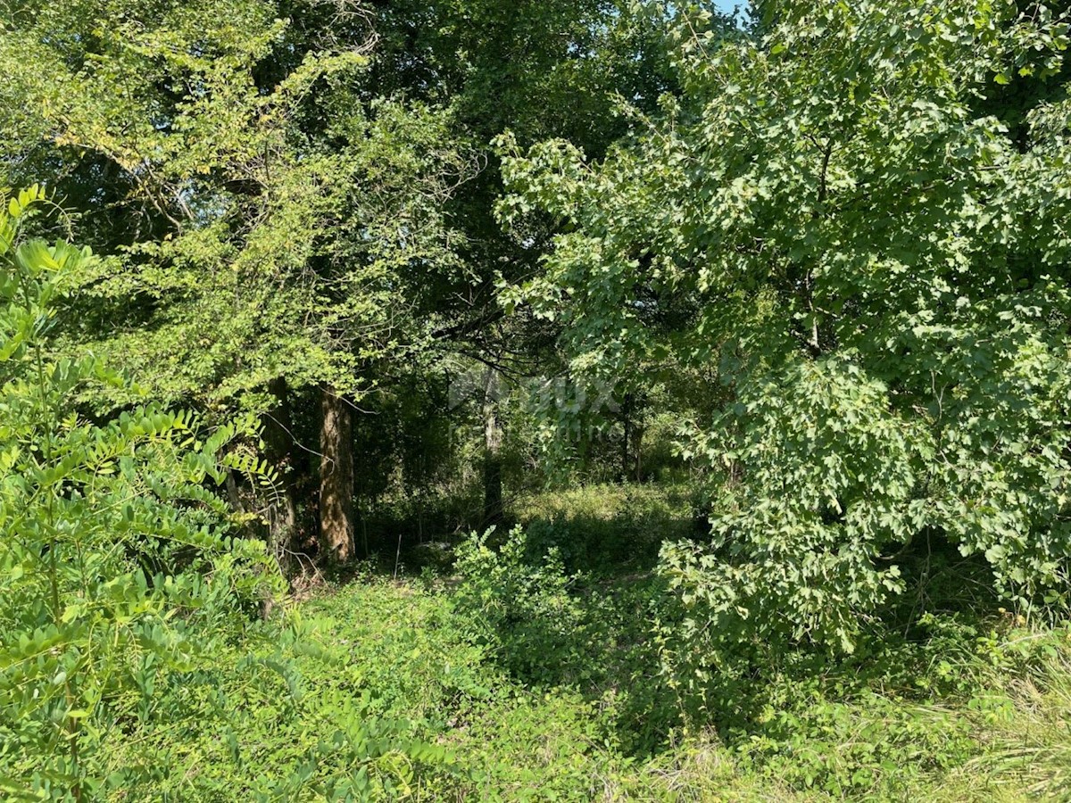 Terreno In vendita - ISTARSKA PIĆAN