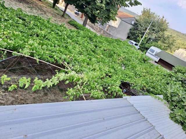 House For sale - Istarska Bale - foto 4/13