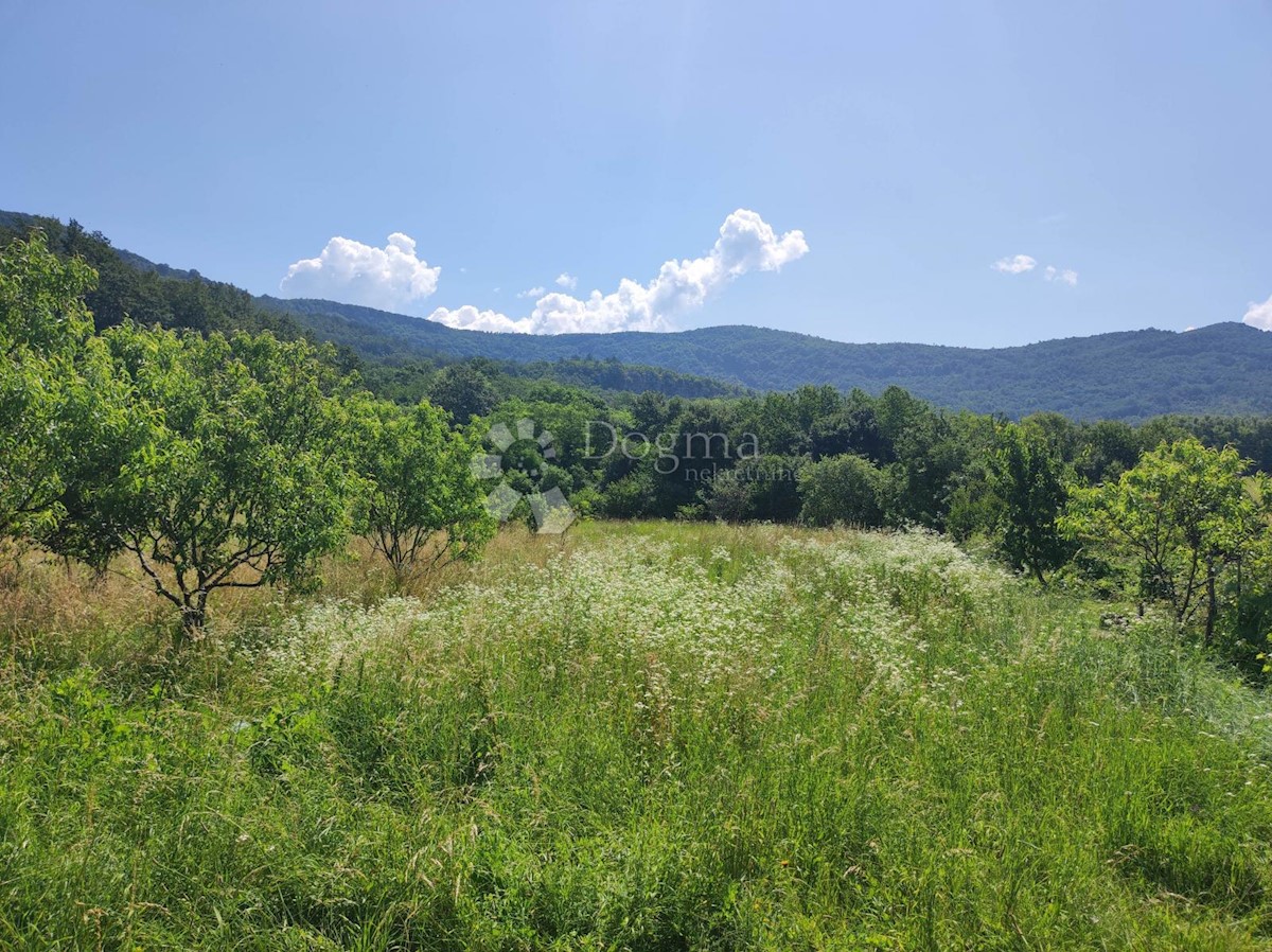 Pozemok Na predaj - ISTARSKA LUPOGLAV