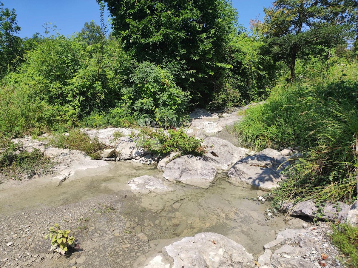 Pozemok Na predaj - ISTARSKA LUPOGLAV