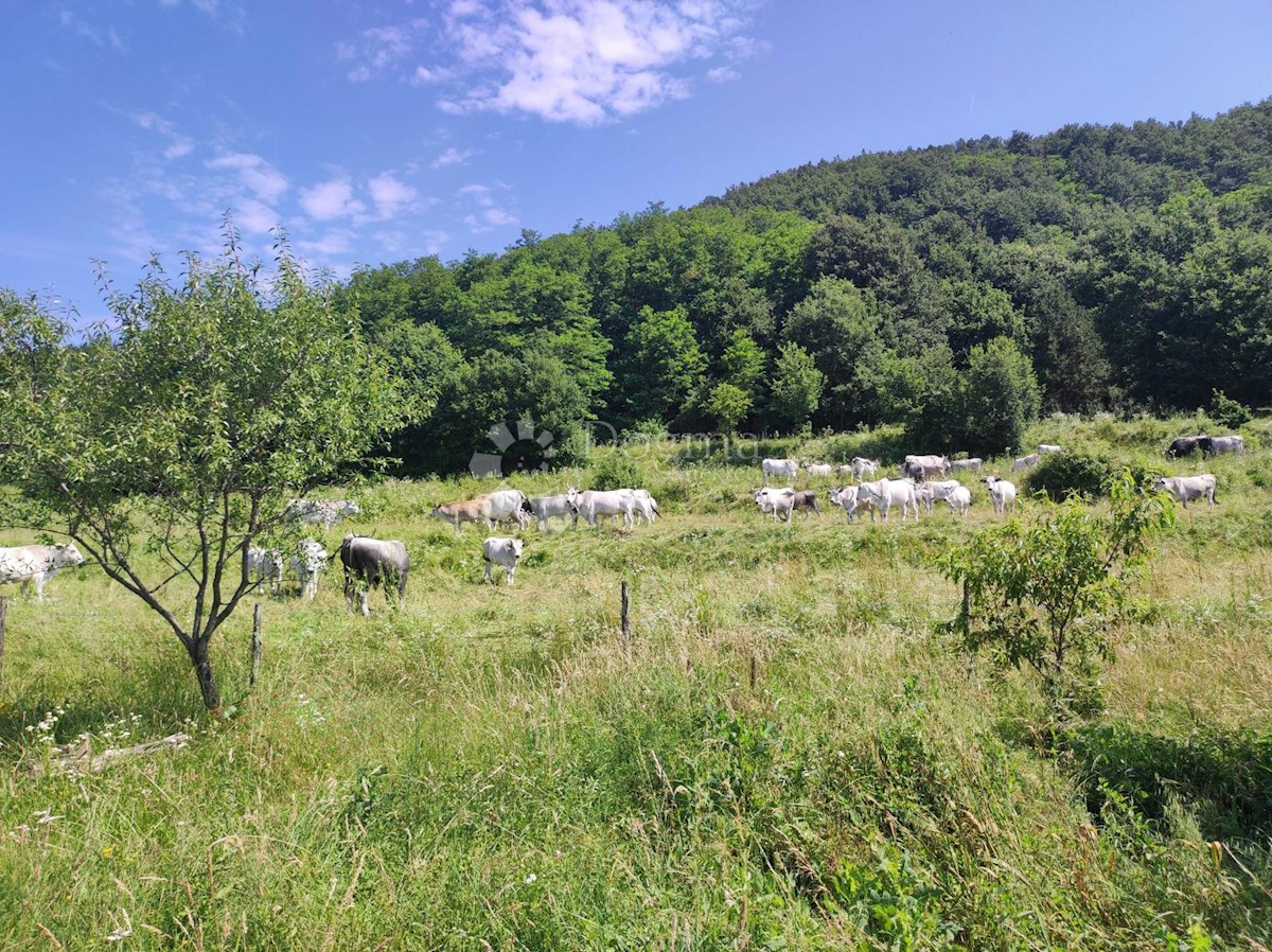 Zemljište Na prodaju - ISTARSKA LUPOGLAV