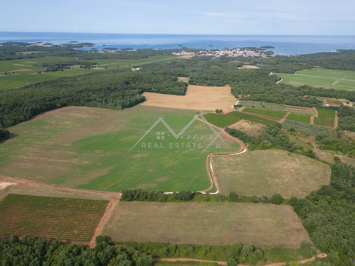 Terrain À vendre - Istarska Poreč - foto 1/8