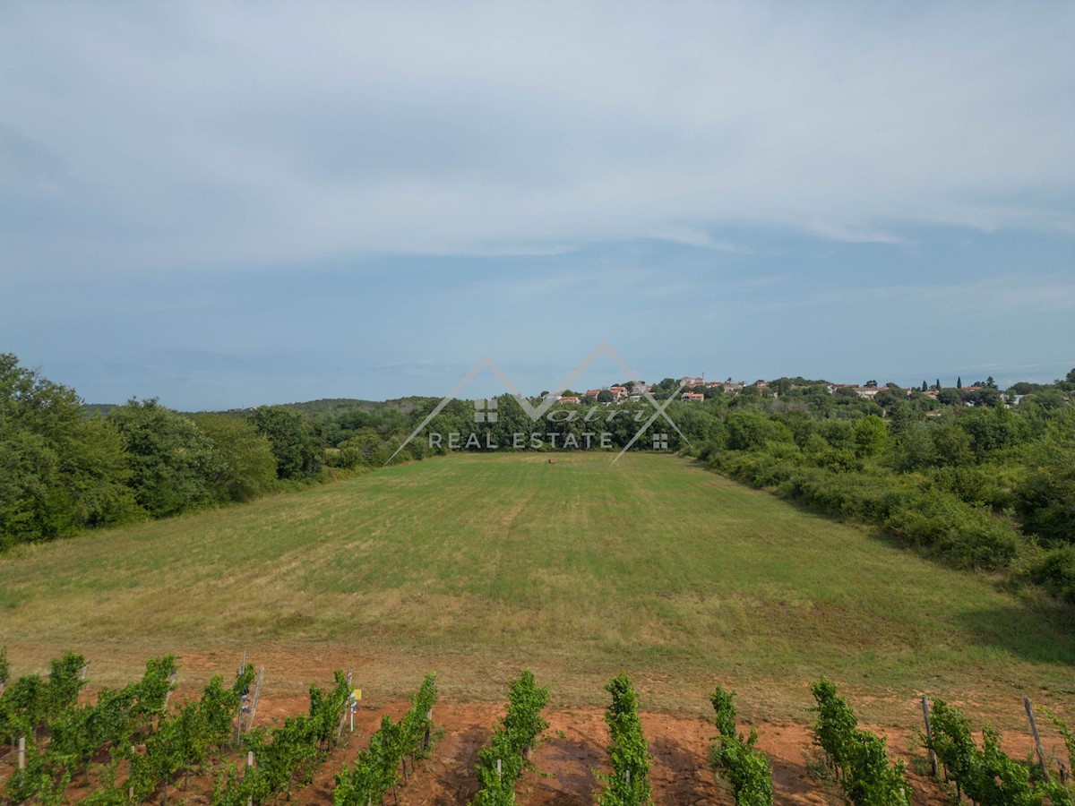 Terrain À vendre - ISTARSKA POREČ