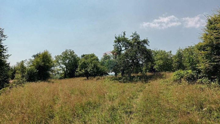 Parcela Naprodaj - Primorsko-goranska Vrbovsko - foto 3/11