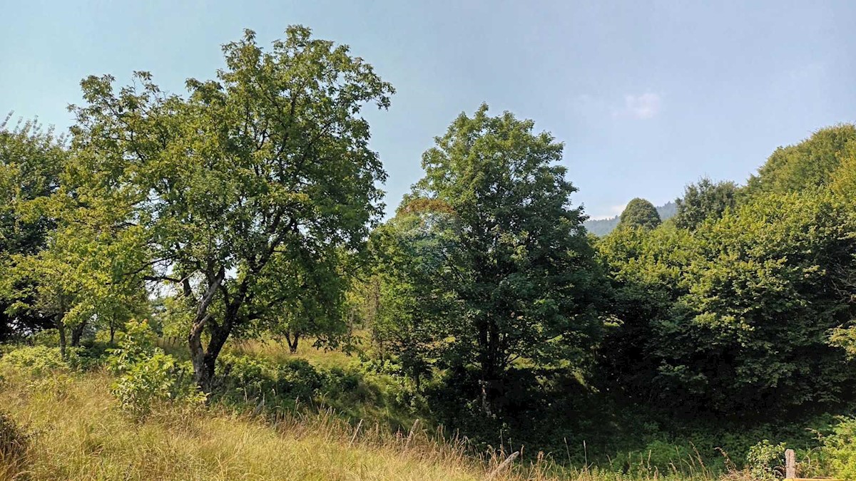 Zemljište Na prodaju - PRIMORSKO-GORANSKA VRBOVSKO