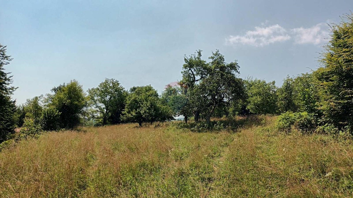 Zemljište Na prodaju - PRIMORSKO-GORANSKA VRBOVSKO