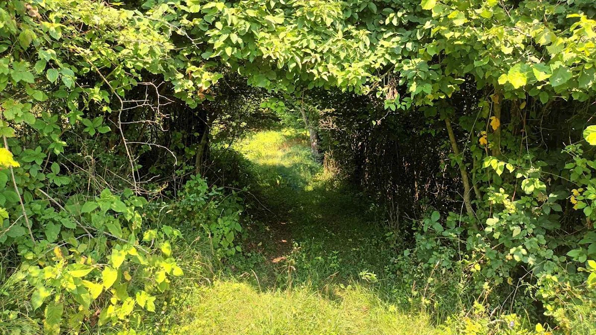 Zemljište Na prodaju - PRIMORSKO-GORANSKA VRBOVSKO