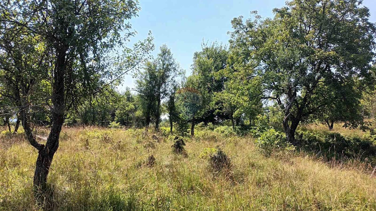 Zemljište Na prodaju - PRIMORSKO-GORANSKA VRBOVSKO